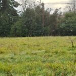 Maison à construire à Tizac-de-Lapouyade (33620)