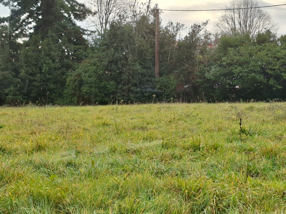 Terrain à bâtir à Tizac-de-Lapouyade (33620)