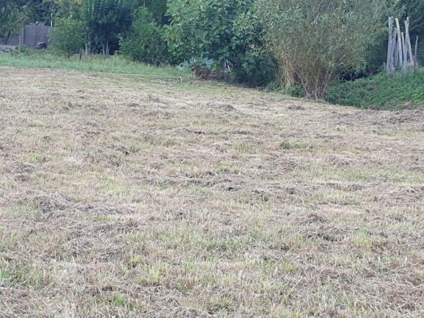 Maison à construire à Saint-Romain-la-Virvée (33240)