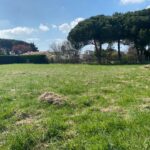 Terrain à bâtir à Saint-Augustin (17570)