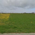 Terrain à bâtir à Nieulle-sur-Seudre (17600)