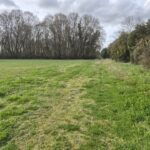 Maison à construire à Gémozac (17260)