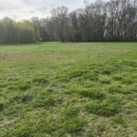 Maison à construire à Gémozac (17260)