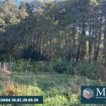 Terrain à bâtir à Saint-Martin-de-Seignanx (40390)