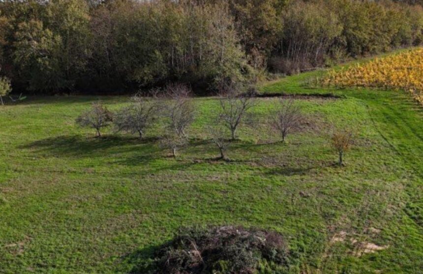 Maison à construire à Capian (33550)