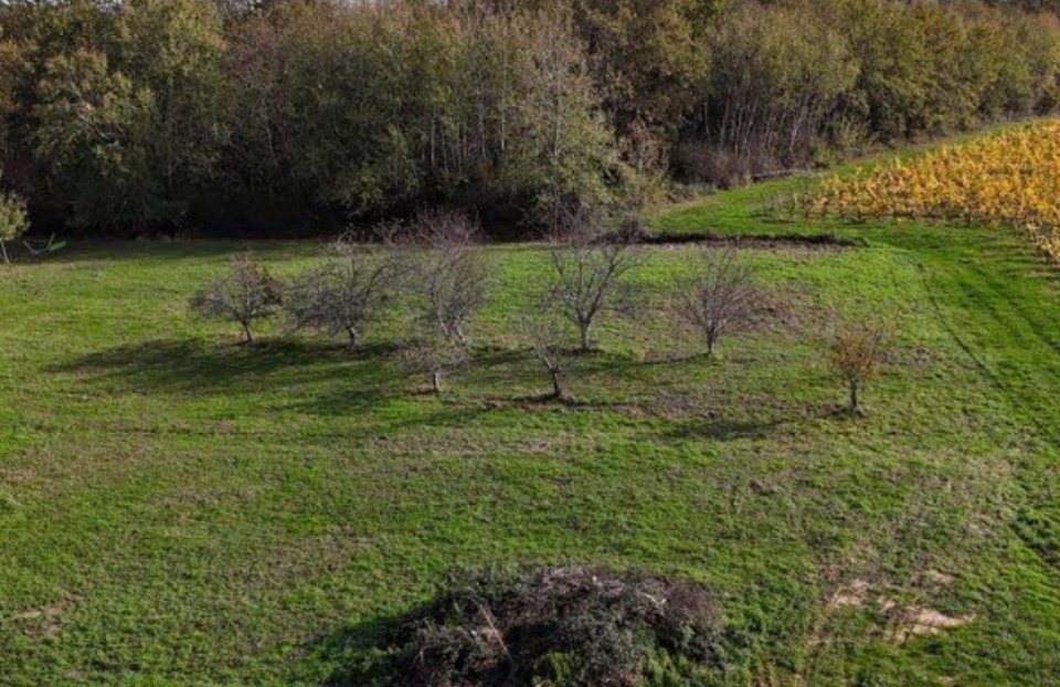 Terrain à bâtir à Langoiran (33550)