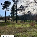 Maison à construire à Casteljaloux (47700)