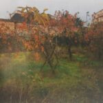 Maison à construire à Périgueux (24000)