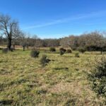 Maison à construire à Excideuil (24160)