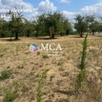 Terrain à bâtir à Lévignac-de-Guyenne (47120)