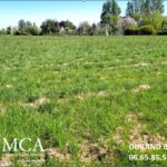 Maison à construire à Gardonne (24680)