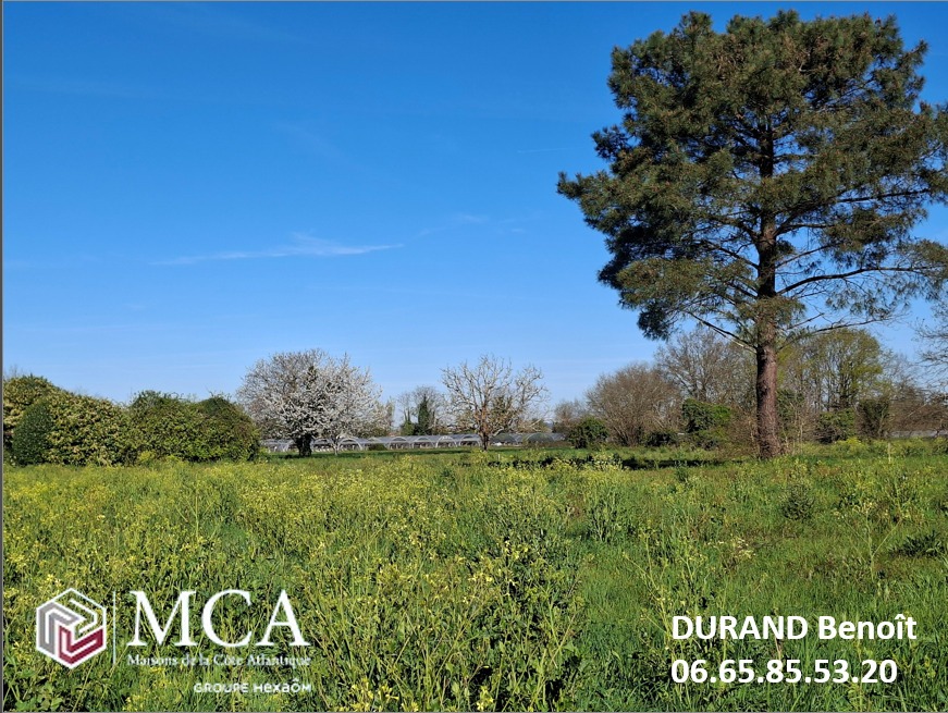 Terrain à bâtir à Saint-Pierre-d’Eyraud (24130)