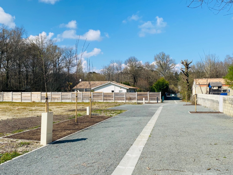 Terrain à bâtir à Avensan (33480)