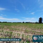 Terrain à bâtir à Mugron (40250)