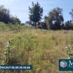 Terrain à bâtir à Narrosse (40180)