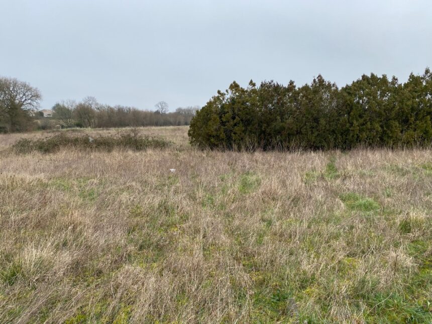 Maison à construire à Pont-l’Abbé-d’Arnoult (17250)
