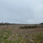 Terrain à bâtir à Pont-l’Abbé-d’Arnoult (17250)