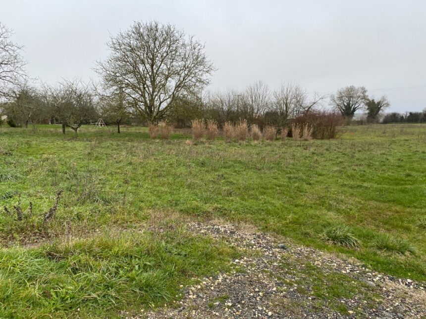 Terrain à bâtir à Champagne (17620)