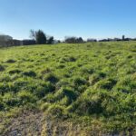 Terrain à bâtir à Marennes-Hiers-Brouage (17320)