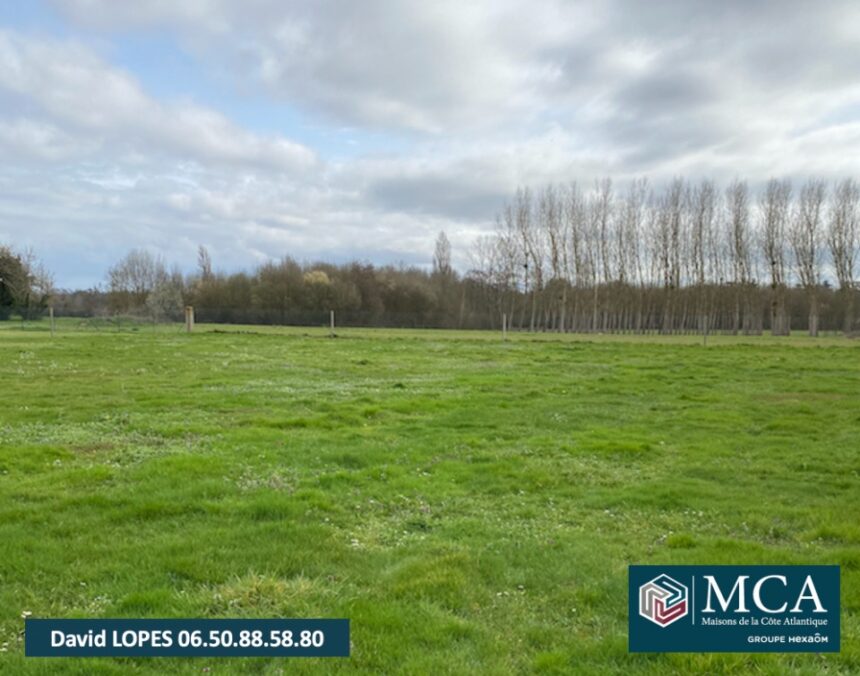Terrain à bâtir à Blasimon (33540)