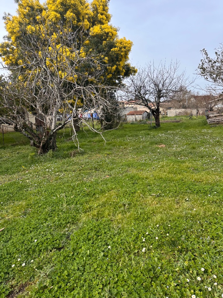 Terrain à bâtir à Génissac (33420)