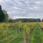 Terrain à bâtir à Saint-Sauveur-de-Puynormand (33660)
