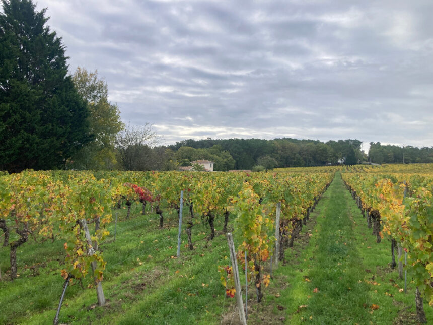 Maison à construire à Saint-Sauveur-de-Puynormand (33660)