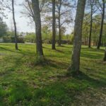 Maison à construire à Roaillan (33210)