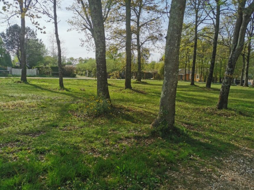 Maison à construire à Roaillan (33210)