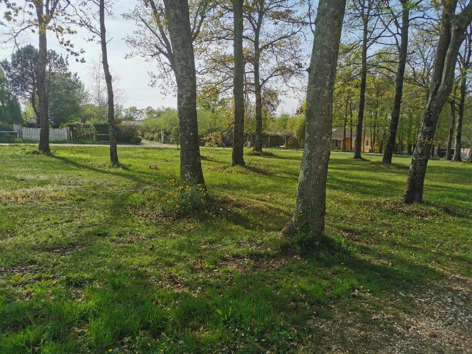 Terrain à bâtir à Roaillan (33210)