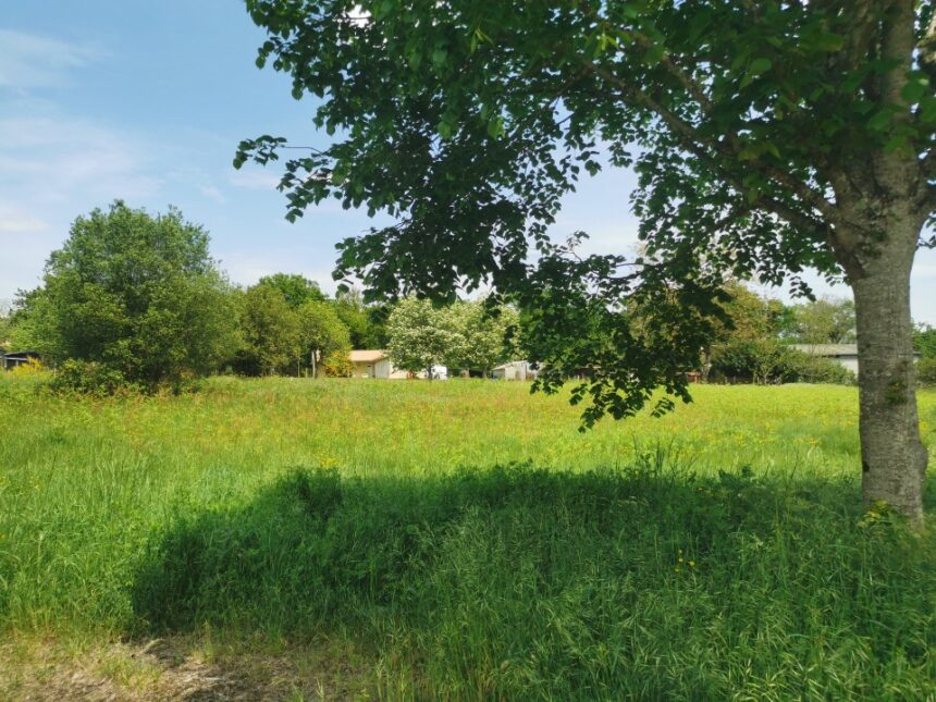 Maison à construire à Roaillan (33210)