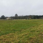 Maison à construire à Gajac (33430)