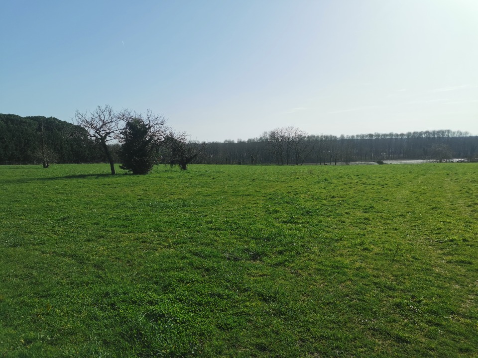 Terrain à bâtir à Saint-Pierre-d’Aurillac (33490)