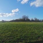 Maison à construire à Bieujac (33210)