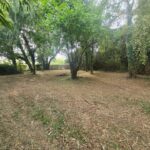 Maison à construire à Créon (33670)