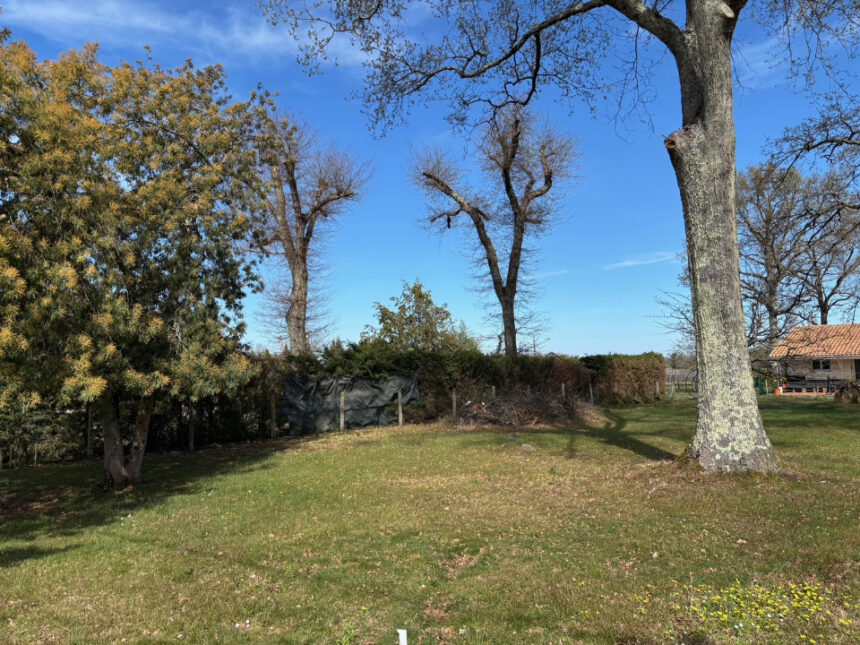 Terrain à bâtir à Saint-Estèphe (33180)