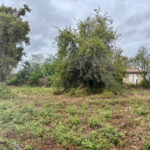 Terrain à bâtir à Saint-Estèphe (33180)