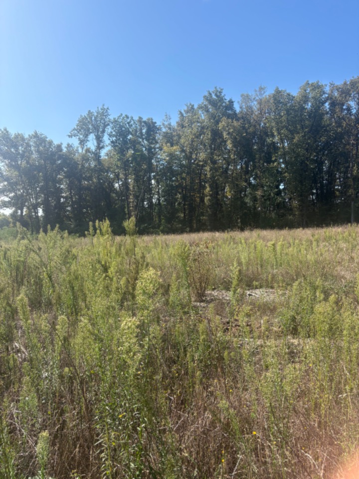 Terrain à bâtir à Galgon (33133)