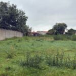 Maison à construire à Villegouge (33141)