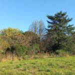 Terrain à bâtir à Saint-Martial-d’Artenset (24700)