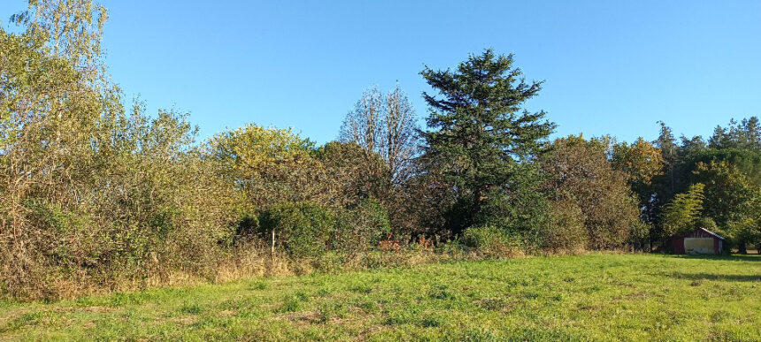 Terrain à bâtir à Saint-Martial-d’Artenset (24700)