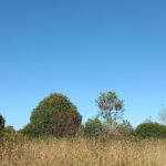 Terrain à bâtir à Saint-Martial-d’Artenset (24700)