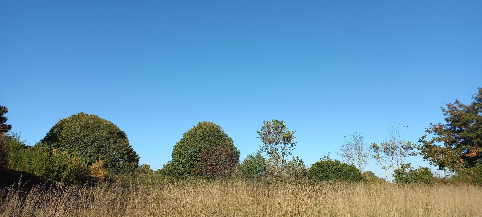 Terrain à bâtir à Saint-Martial-d’Artenset (24700)