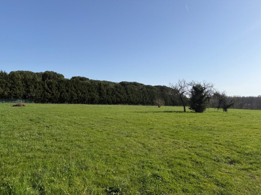 Maison à construire à Langon (33210)