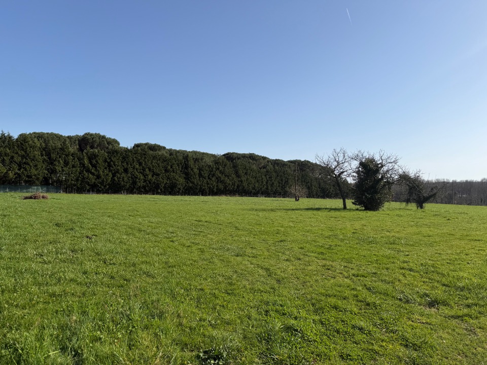 Terrain à bâtir à Langon (33210)