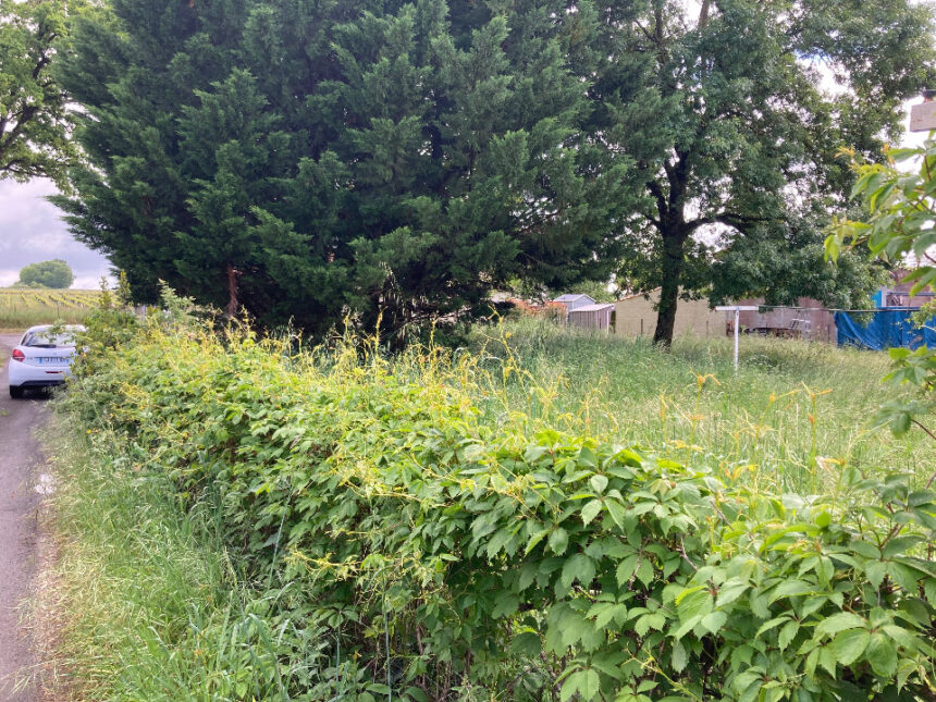 Maison à construire à Chaniers (17610)
