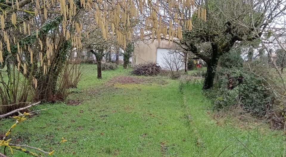 Terrain à bâtir à Semussac (17120)