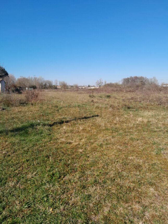 Terrain à bâtir à Loupes (33370)