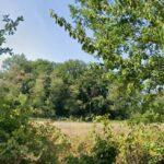 Terrain à bâtir à Cours-de-Pile (24520)