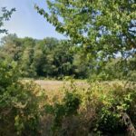 Terrain à bâtir à Cours-de-Pile (24520)